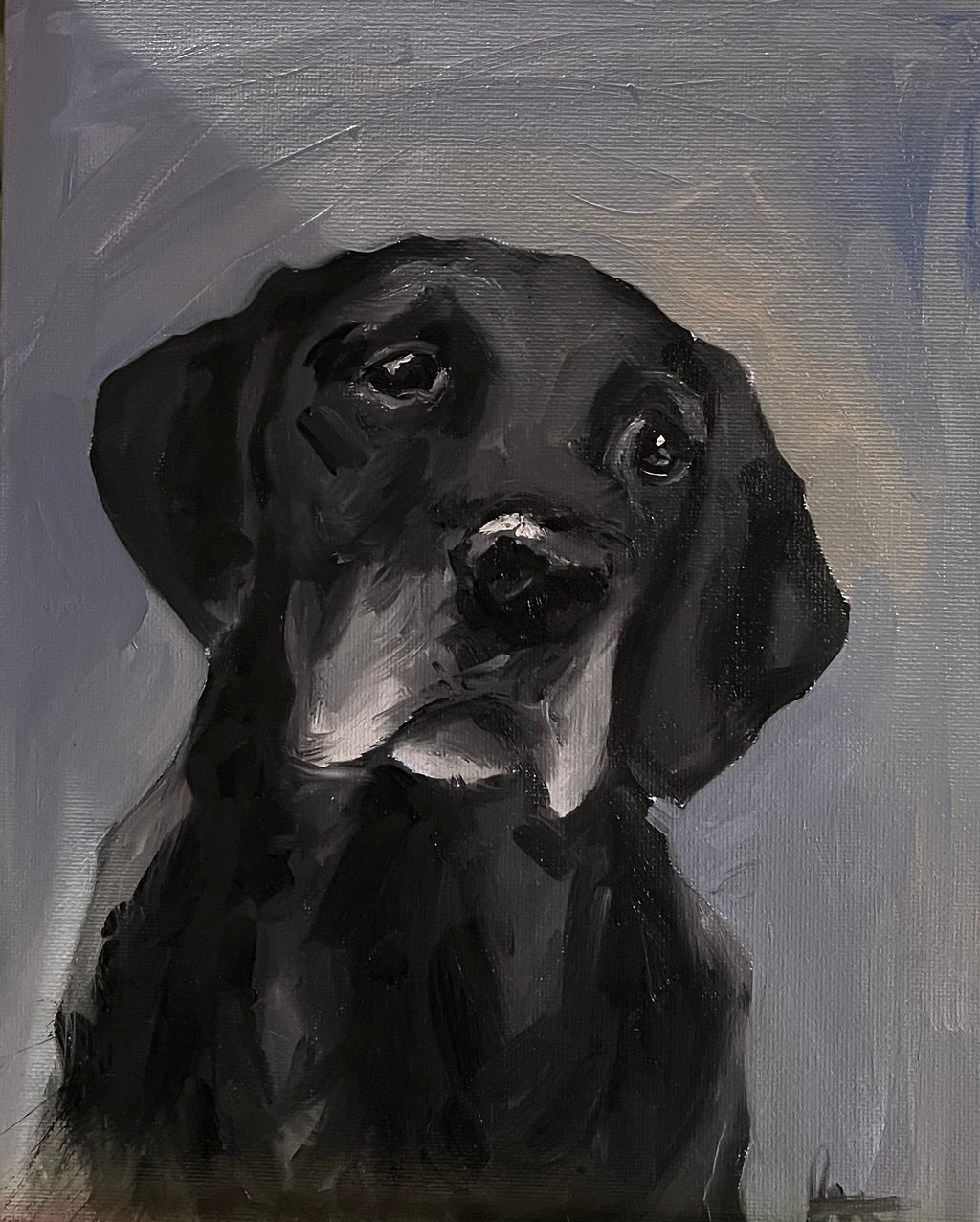 Custom pet portraits ( dog or cat )